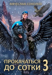 Прокачаться до сотки 3 (Вячеслав Соколов)